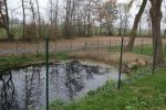 20181127_löschteich_2.jpg