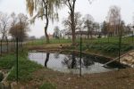 20181127_löschteich_8.jpg