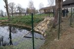 20181127_löschteich_9.jpg