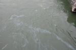 20140118_Oeleinsatz_02.JPG
