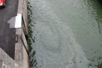 20140118_Oeleinsatz_03.JPG
