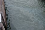 20140118_Oeleinsatz_04.JPG