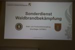 20230408_Wald001.jpg