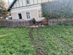 20211003_FFWeiten_VU016.jpg