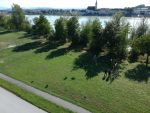 20180908_KHD015.JPG