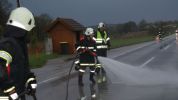 20140406_ffbrunnwiesen_24.jpg