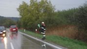 20140406_ffbrunnwiesen_6.jpg
