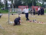 20190616_ffmannersdorf_4.jpeg