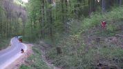 20150419_einsatzdoku11.jpg
