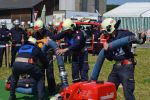 K1024_DSC_0137.JPG