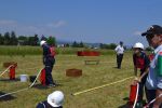 20150606_afjlb1.jpg