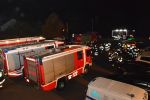 DSC_7952.jpg
