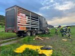 20250425_LKW011.jpg