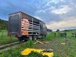 20250425_LKW012.jpg