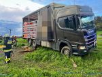 20250425_LKW013.jpg