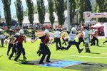 DSC_3200_Mittel.jpg