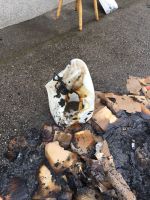 brand_wurzer_weiten_2018_-_10.jpg