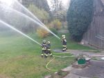 IMG-20240415-WA0008.jpg