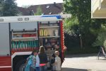 20150625_ffstgotthard_33.jpg