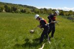K1024_DSC_0050.JPG