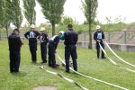 20150509_BFKMelk_FJGold04.JPG