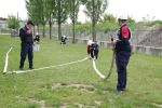 20150509_BFKMelk_FJGold06.JPG