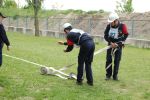 20150509_BFKMelk_FJGold08.JPG