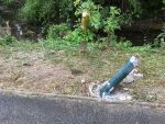 20170702_fftexing_110.jpg