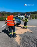 Einsatz_S1_lspur_FF-Altenmarkt_20250419_1.png