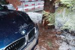 20190104_Fzg04.jpg