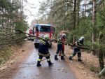 202201217_FFWeiten01.jpg