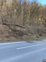 202201217_FFWeiten03.jpg