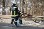 20170110_Fzg19.JPG