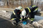 20170110_Fzg19a.JPG