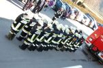 20160213_APLE01.JPG
