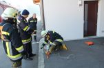 20160213_APLE04.JPG