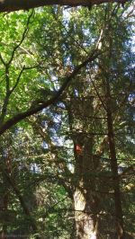 20170615_fftexing_1.jpg