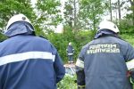 20160514_ffbrunnwiesen_3.jpg