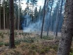 20220219_Wald03.jpg