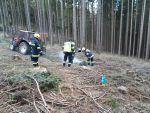 20220219_Wald04.jpg