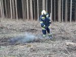 20220219_Wald06.jpg