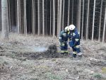20220219_Wald07.jpg