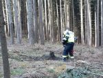 20220219_Wald08.jpg