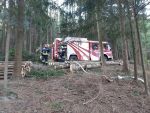 20220219_Wald09.jpg