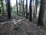 20220219_Wald10.jpg