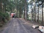 20220219_Wald11.jpg