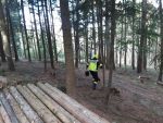 20220219_Wald12.jpg