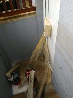20210718_Kilb01.jpg