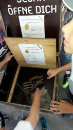 20170620_ffmatzleinsdorf_10.jpg