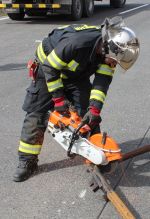 ffmelk12.jpg